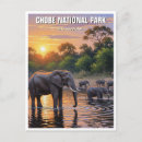 Sök efter chobe Safari