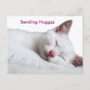 Sök efter sömnigt vykort Katt