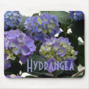 Sök efter vanlig hortensia musmattor Blått