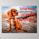 Sök efter animals posters Människor (allmänt)