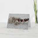 Sök efter det nya jobbet kort Nytt jobb