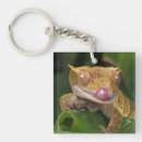 Sök efter gecko ödla nyckelringar Natur