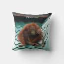 Sök efter orangutan fotografi Apa