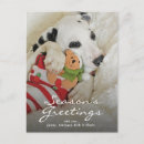 Sök efter dalmation kort Fotografi