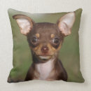 Sök efter vecka kuddar 6 veckor