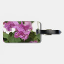 Sök efter bougainvillea accessoarer Lila