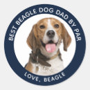 Sök efter beagle klistermärken Foto