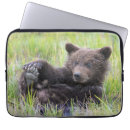 Sök efter grizzly elektronik Alaska