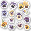 Sök efter gul pansy Gula blommor