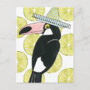 Sök efter toucan Mexico