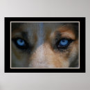 Sök efter wolf posters Dog