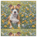 Sök efter staffordshire terrier Valp
