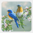 Sök efter bluebirds klistermärken För dem