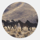 Sök efter mustang klistermärken Foto