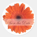 Sök efter orange gerbera Röd