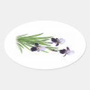 Sök efter iris klistermärken Blomma