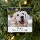 Sök efter husdjur ornament För henne