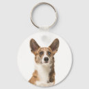Sök efter corgi nyckelringar Valp