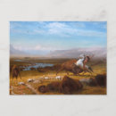 Sök efter buffeln Albert bierstadt