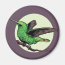 Sök efter hummingbird magneter Blomma