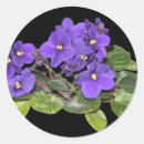 Sök efter violett klistermärken Färg