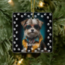 Sök efter husdjur ornament Hund minnesmärke