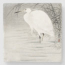 Sök efter egrets Elegant