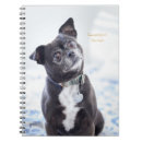Sök efter hund journaler For pets