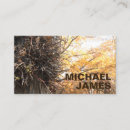 Sök efter autumnn fotografi Löv