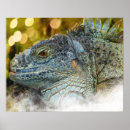 Sök efter ödla konst Herpetologi