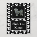 Sök efter min shih tzu vykort Djur