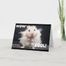 Sök efter hamster kort Vän