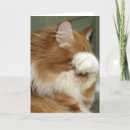 Sök efter maine coon kort Ledsen