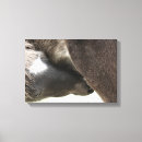 Sök efter full ram posters Fotografi