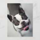 Sök efter image vykort Söt