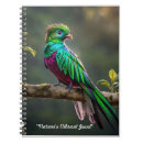 Sök efter quetzal Kvetzal