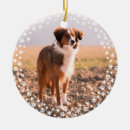 Sök efter husdjur minnessaker For pets