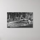 Sök efter kabin fotografi Sjö