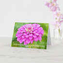 Sök efter rosa zinnia Blomma
