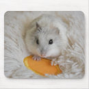 Sök efter hamster musmattor Gnagare