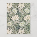 Sök efter chrysanthemum vykort Blomma