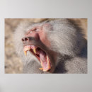 Sök efter teeth posters Tänder