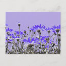 Sök efter digital blomma vykort Lila