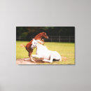 Sök efter arabisk häst konst Vit