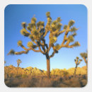 Sök efter tree klistermärken Mojaveöknen