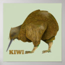 Sök efter kiwi posters Fågel
