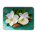 Sök efter magnolia magneter Blomma