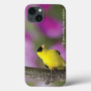 Sök efter blom ipad skal Birding
