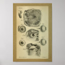Sök efter syna posters Vintage