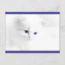 Sök efter mjukt vykort Katt